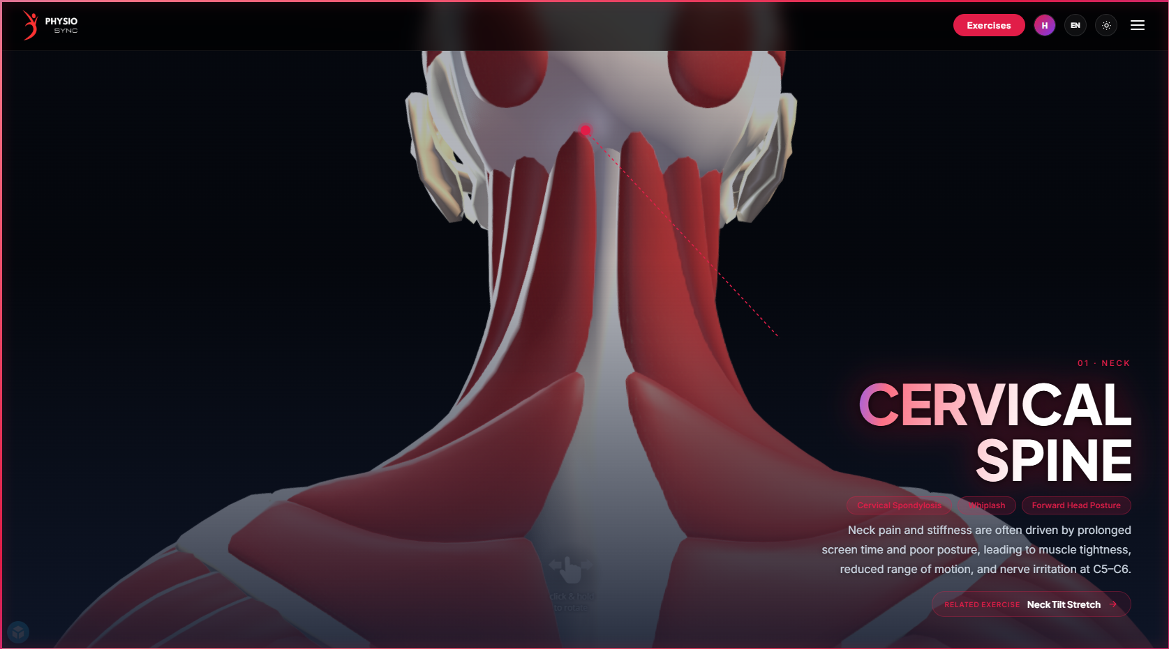 PhysioSync — Cervical Spine anatomy hero